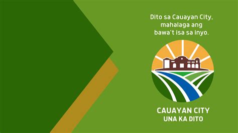 cauayan wordpress|Cauayan City Local Government .